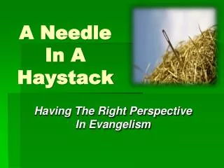 A Needle In A Haystack