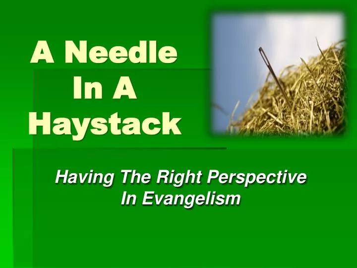 a needle in a haystack