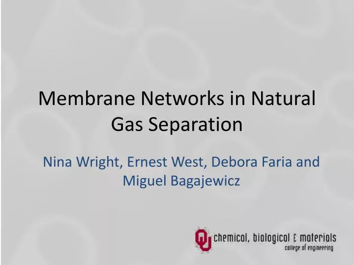 membrane networks in natural gas separation