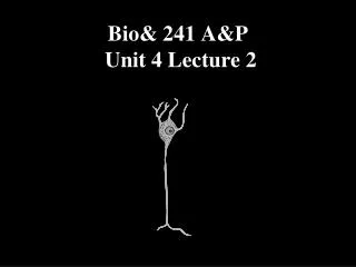 Bio&amp; 241 A&amp;P Unit 4 Lecture 2