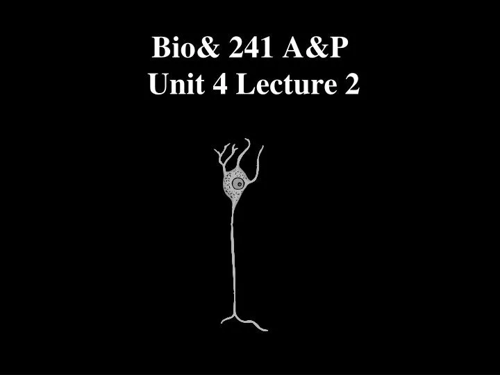 bio 241 a p unit 4 lecture 2