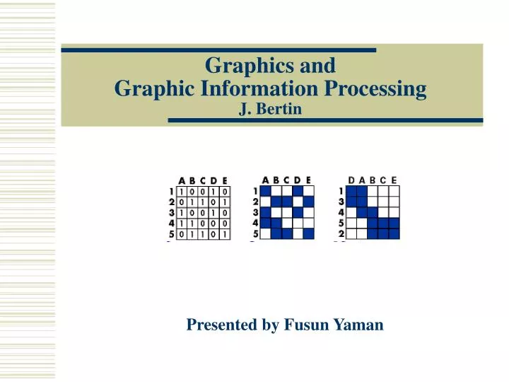 graphics and graphic information processing j bertin
