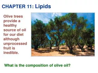 CHAPTER 11: Lipids
