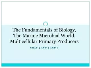 The Fundamentals of Biology, The Marine Microbial World, Multicellular Primary Producers