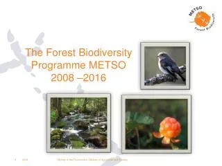 The Forest Biodiversity Programme METSO 2008 –2016