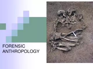 FORENSIC ANTHROPOLOGY