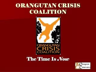 ORANGUTAN CRISIS COALITION