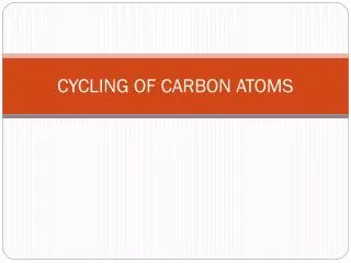 cycling of carbon atoms