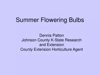 Summer Flowering Bulbs