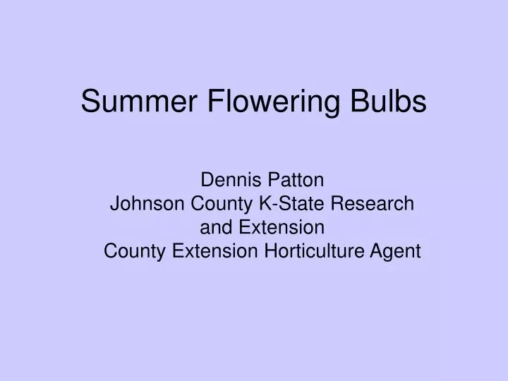 summer flowering bulbs