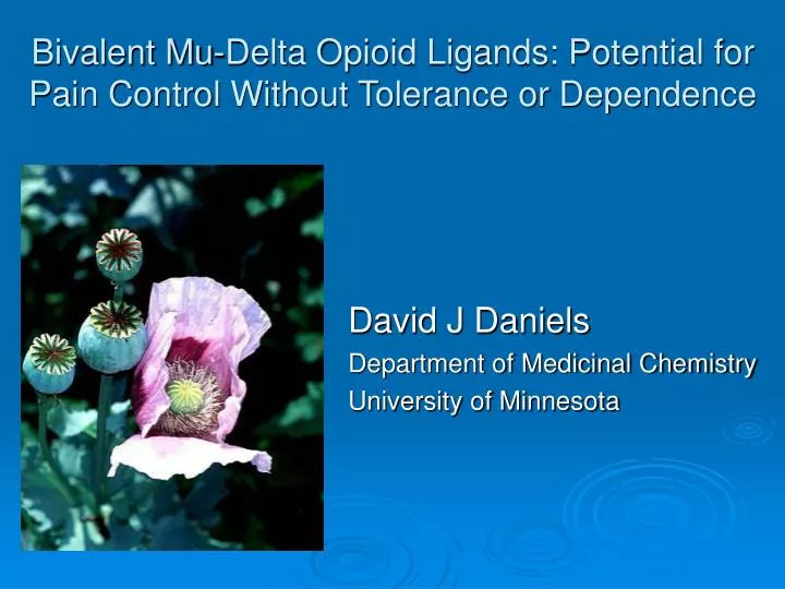 bivalent mu delta opioid ligands potential for pain control without tolerance or dependence