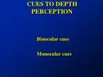 CUES TO DEPTH PERCEPTION - slide 1