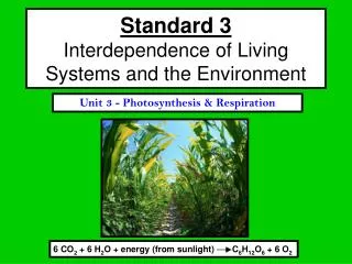 Standard 3 Interdependence of Living Systems and the Environment