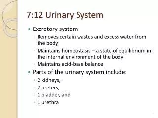 7:12 Urinary System