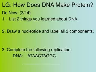 LG: How Does DNA Make Protein?