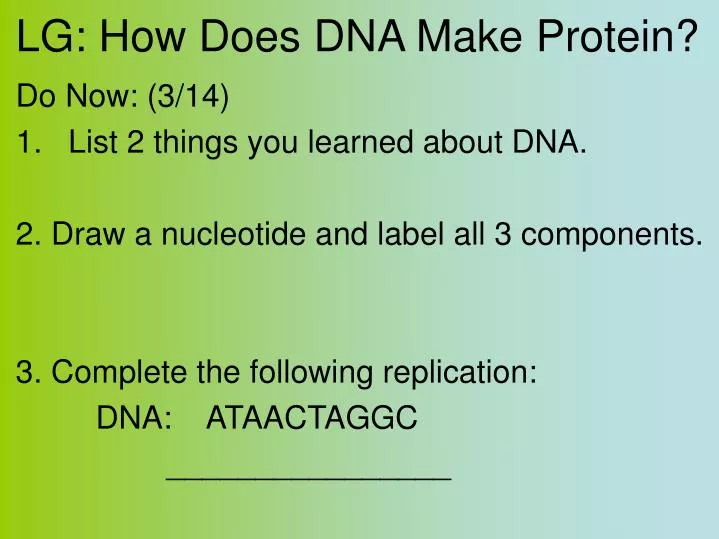 lg how does dna make protein