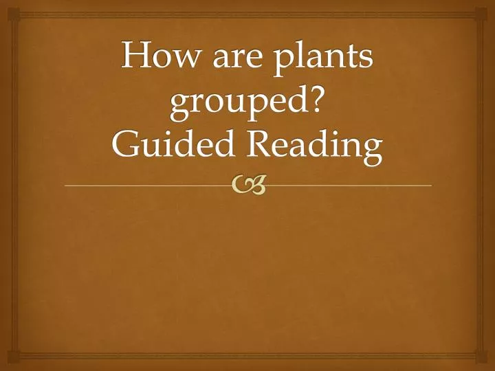 how are plants grouped guided reading