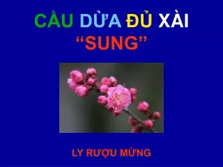 c u d a x i sung
