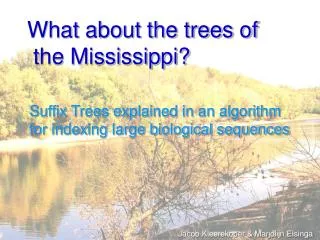 What about the trees of the Mississippi?