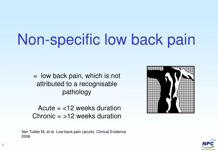 non specific low back pain