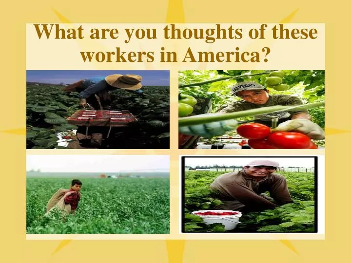 what are you thoughts of these workers in america