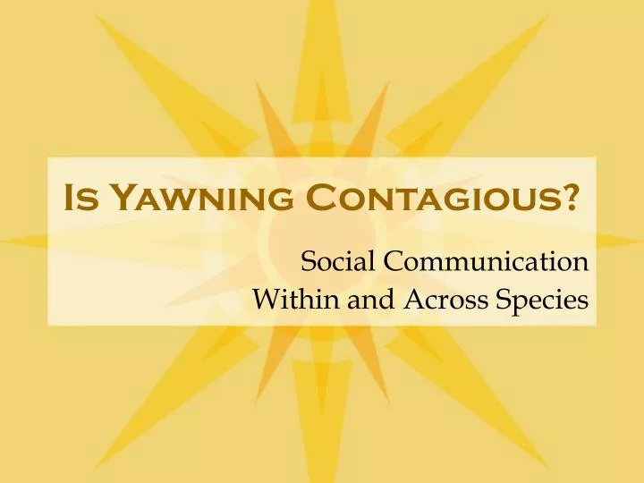 is yawning contagious