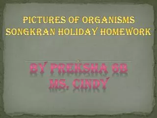 Pictures of organisms Songkran Holiday Homework