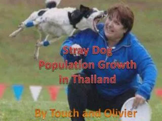 Stray Dog Population Growth in Thailand