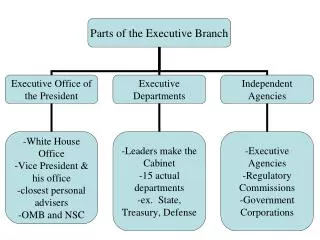 Growth and Reform of the Civil Service