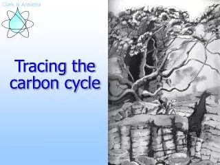 Tracing the carbon cycle