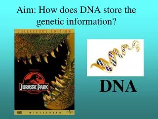 Aim: How does DNA store the genetic information?