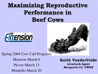 Maximizing Reproductive Performance in Beef Cows