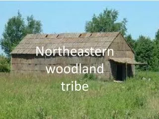 Northeastern woodland tribe