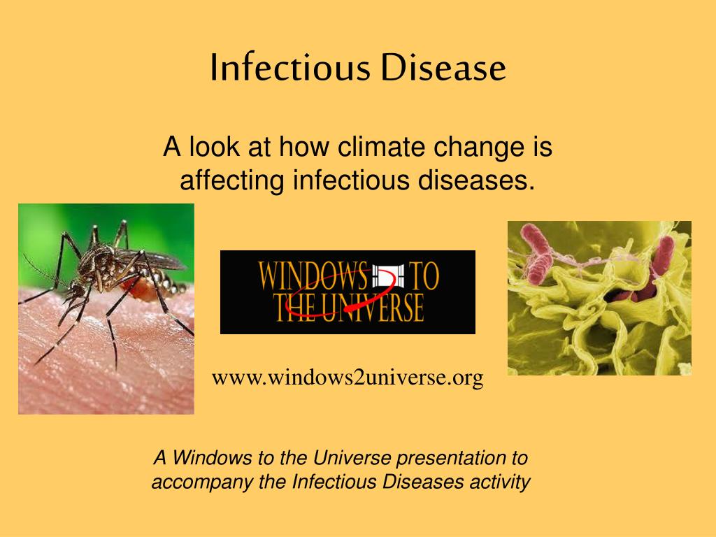 PPT - Infectious Disease PowerPoint Presentation, free download - ID ...