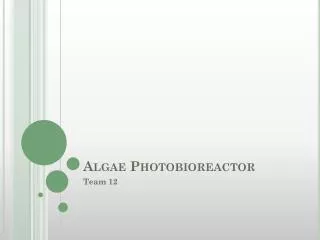 Algae Photobioreactor