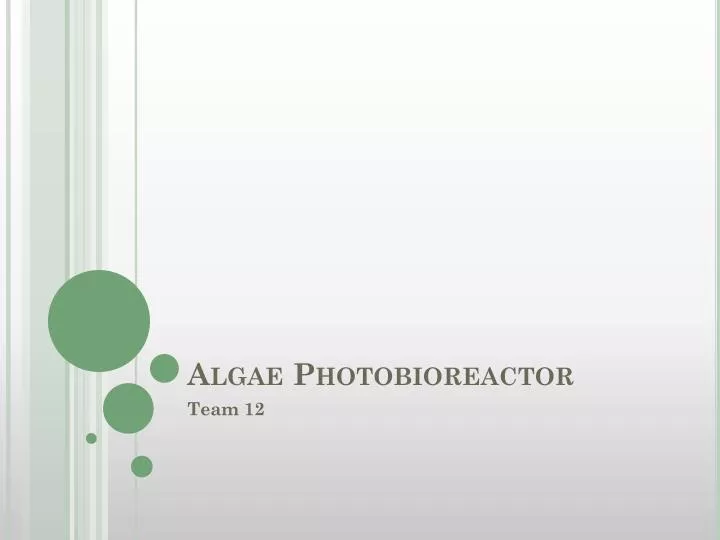 algae photobioreactor