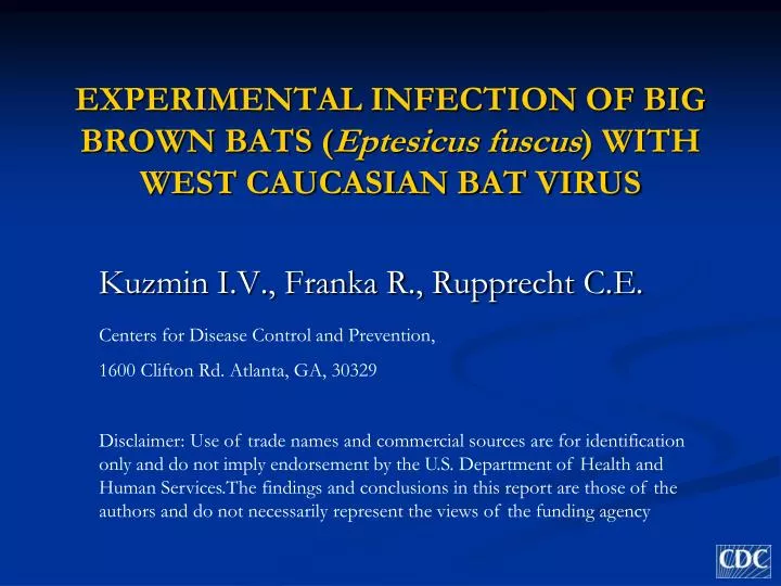 experimental infection of big brown bats eptesicus fuscus with west caucasian bat virus