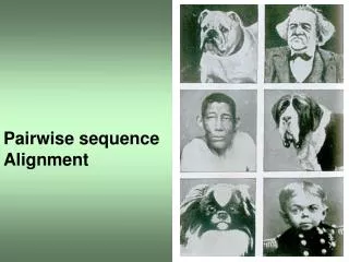 Pairwise sequence Alignment