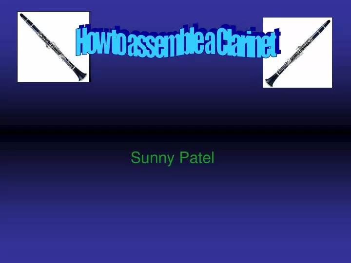 sunny patel