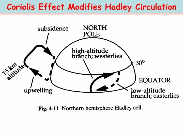 coriolis effect modifies hadley circulation