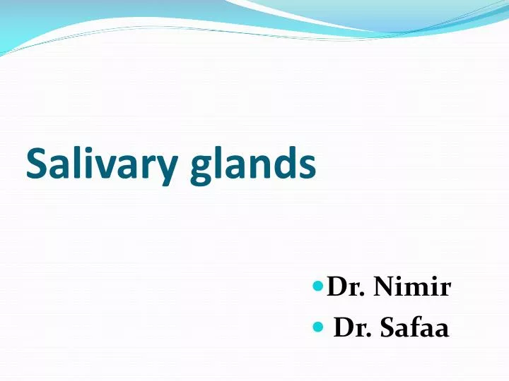 salivary glands