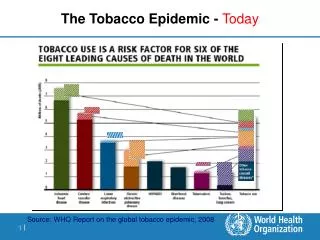 The Tobacco Epidemic - Today