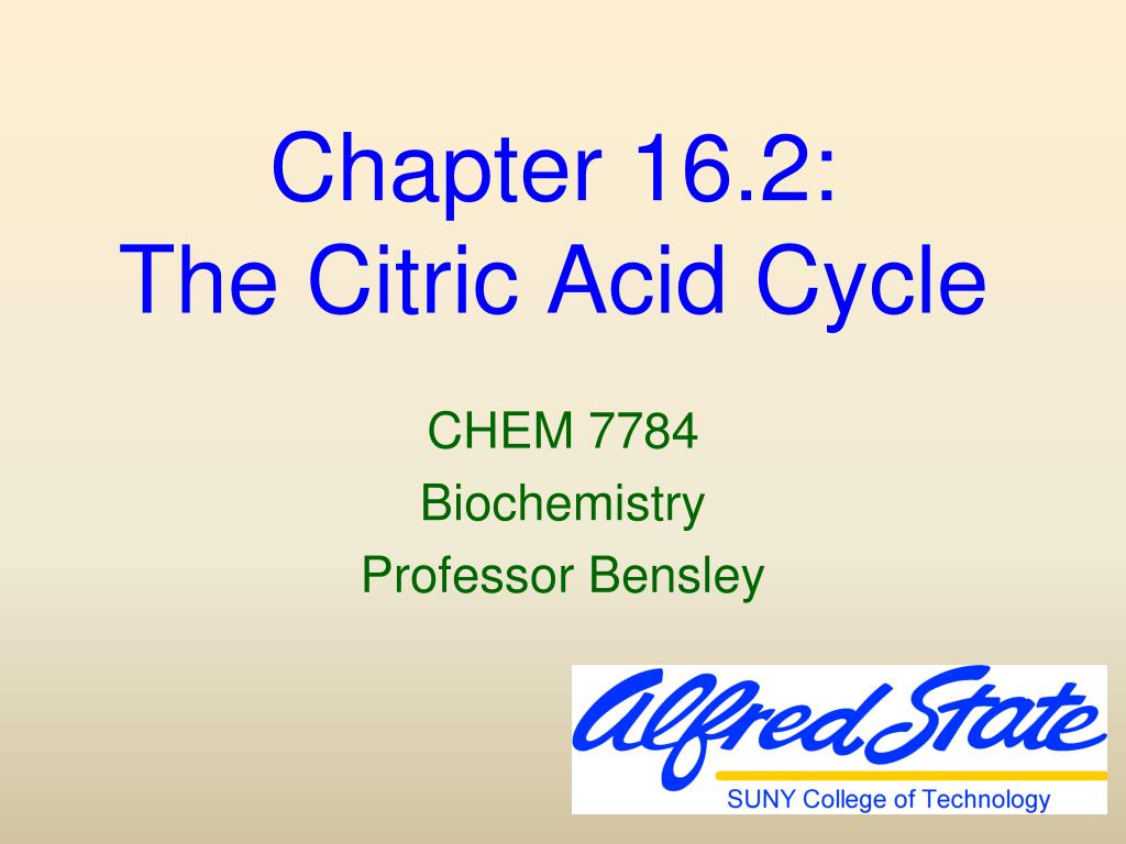 PPT - Chapter 16.2: The Citric Acid Cycle PowerPoint Presentation, free ...