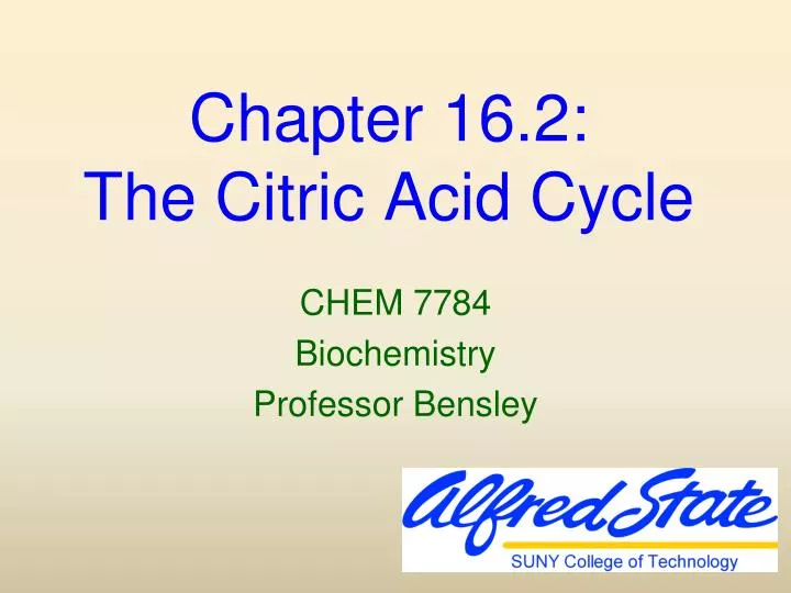 chapter 16 2 the citric acid cycle