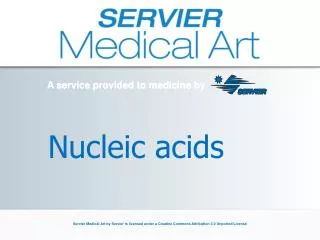 nucleic acids