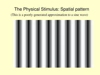 The Physical Stimulus: Spatial pattern