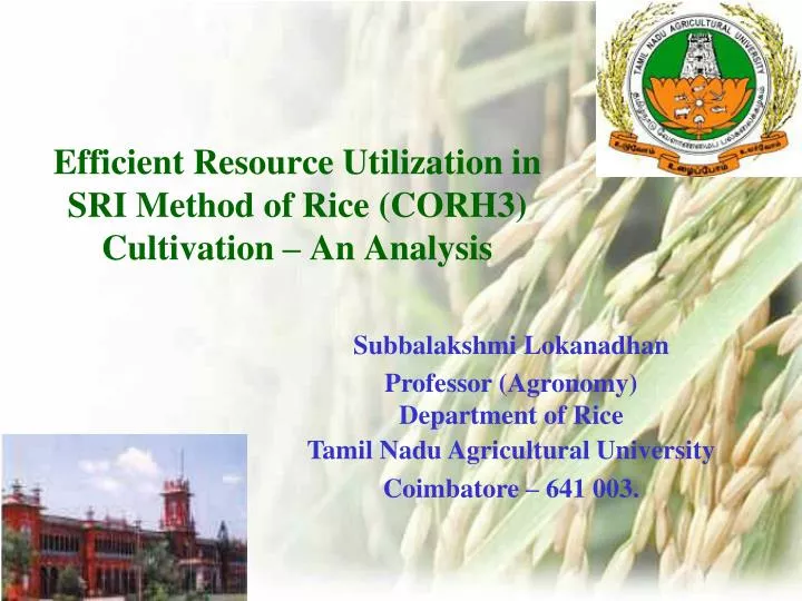 efficient resource utilization in sri method of rice corh3 cultivation an analysis
