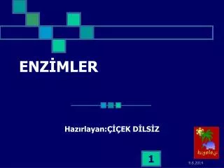 enz mler