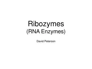 Ribozymes (RNA Enzymes)