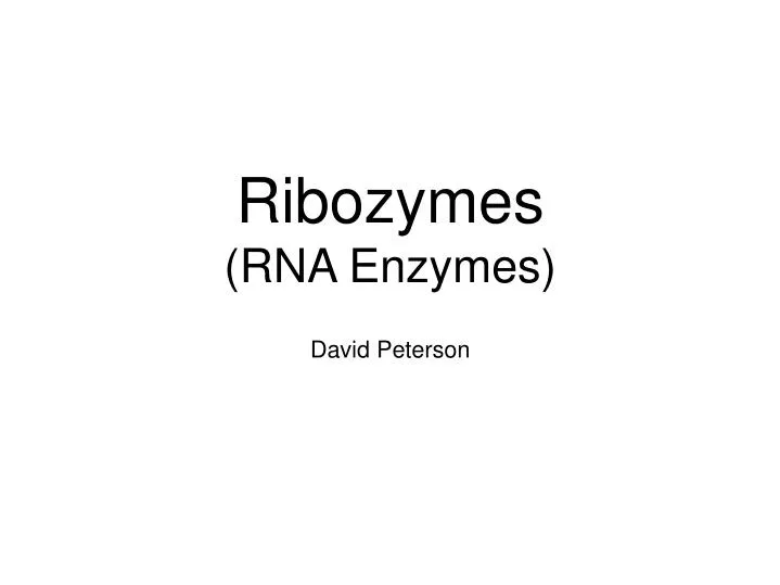 ribozymes rna enzymes
